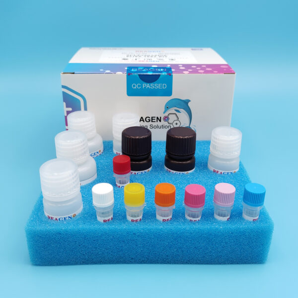 Neomycin ELISA Test Kit