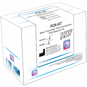 Nipah Virus Real-Time Fluorescence  PCR Detection Kit