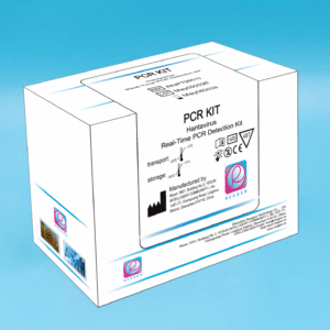 Hantavirus Real-Time PCR Detection Kit